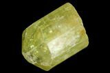 Five Yellow Apatite Crystals ( - ) - Pieces #108362-1